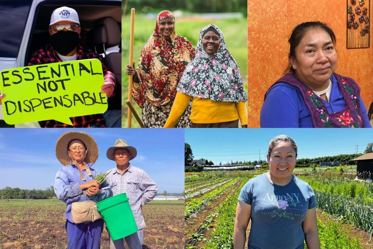 Immigrant Workers Are the Backbone of
Our Food System