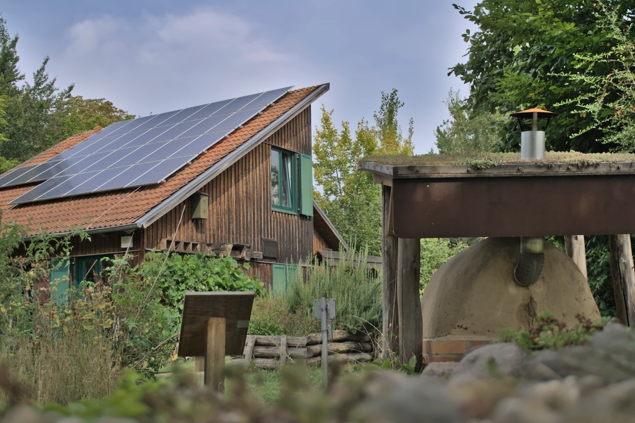 Foto von Maiglöckchen.