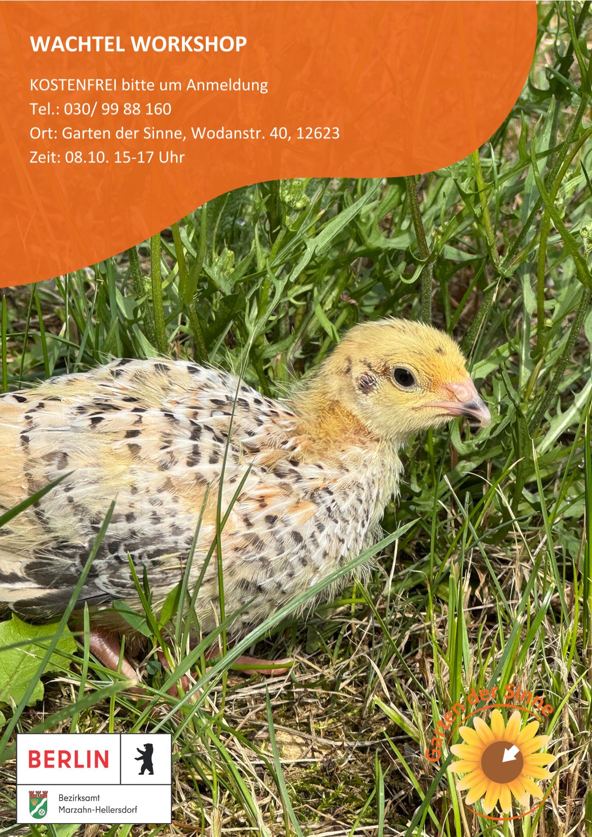 Flyer zum Wachtel-Workshop