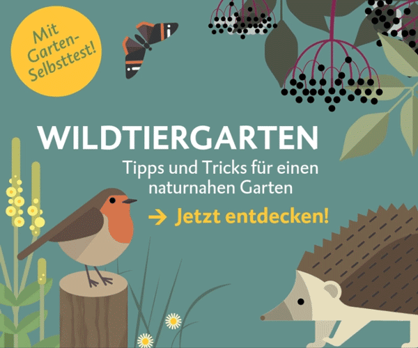 Bild eines Gartens. Auf der linken Seite befindet sich ein Vogel. Auf der rechten Seite befindet sich ein Igel. In der Mitte steht "Wildtiergarten Tipps und Tricks für eien naturnahen Garten --> Jetzt entdecken!". 