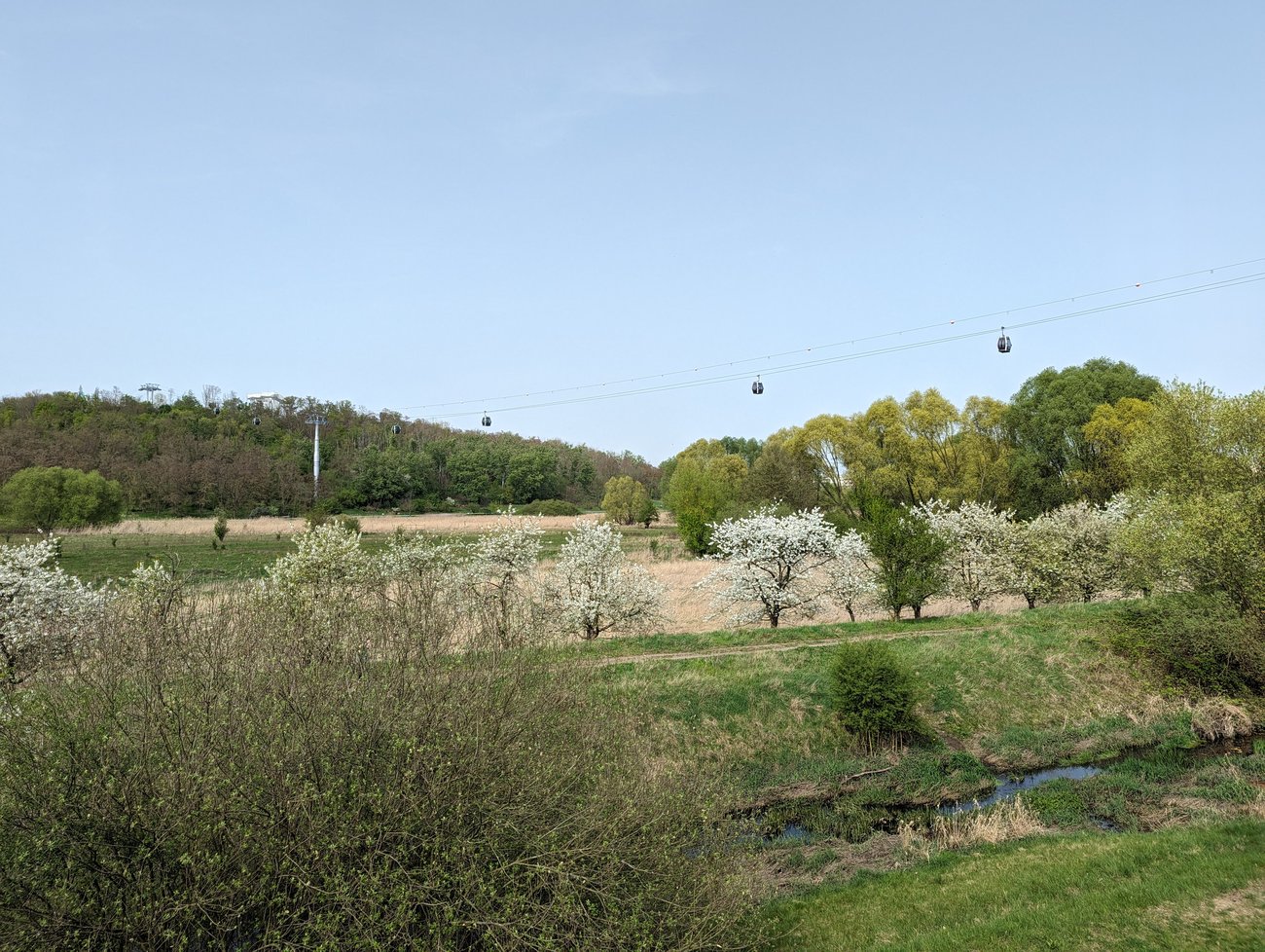Foto vom Kienbergpark.