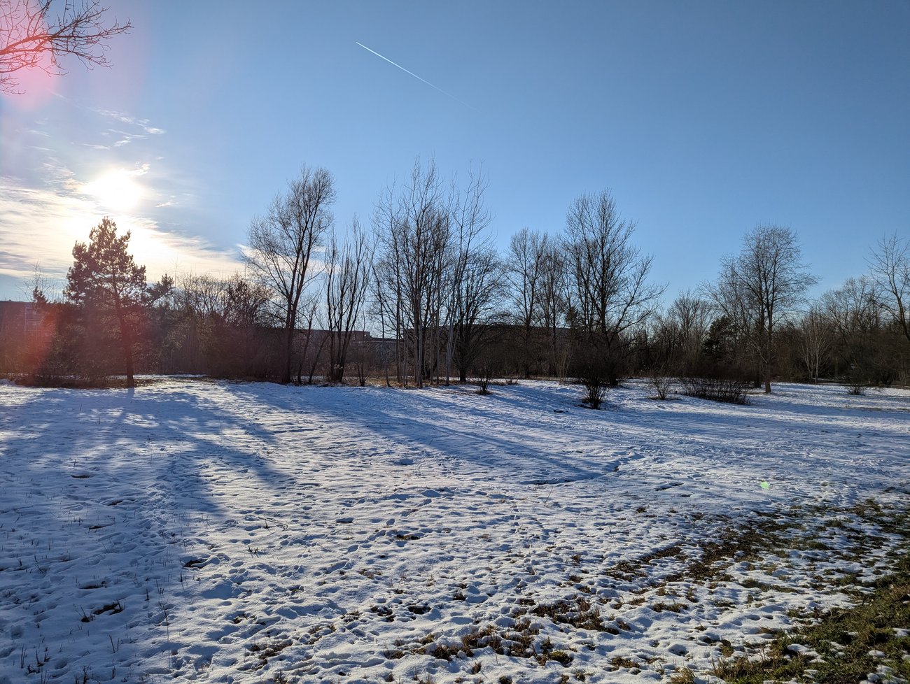 Foto eines Freifläche mit Bäumen im Hintergrund, die Wiese ist schneebedeckt, der Himmel ist blau und die Sonne wirft lange Schatten.