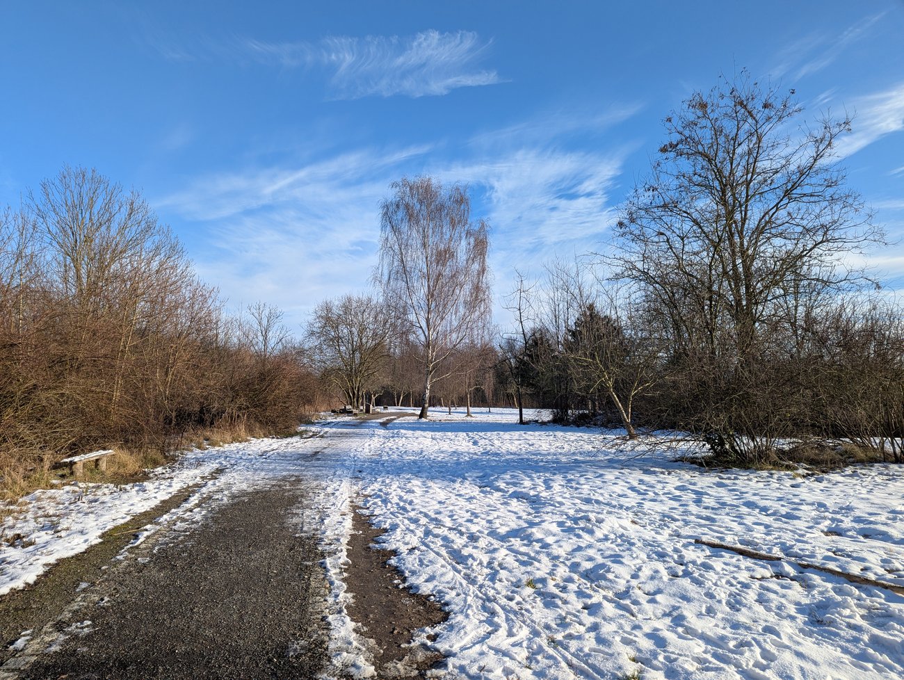 Foto einer Verschneiten Freifläche.