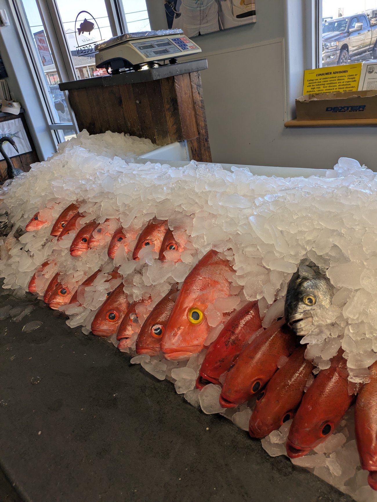 Fresh whole fish on display over crushed ice at a seafood market counter