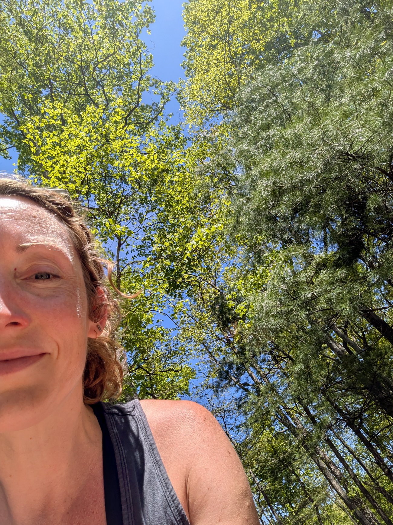 Partial selfie of Abby outdoors under tall green trees on a bright sunny day with blue sky above