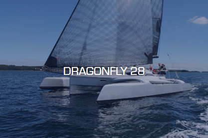 Dragonfly 28