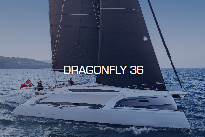 NEW Dragonfly 36