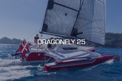 Dragonfly 25