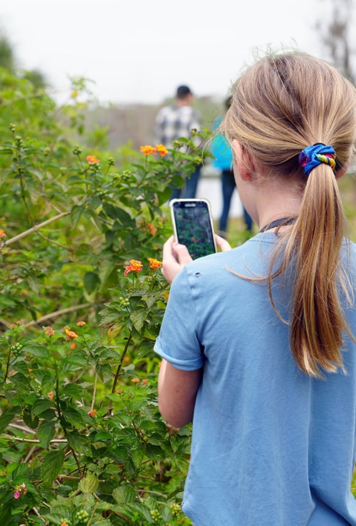 Girl taking photo of flowers on her phone