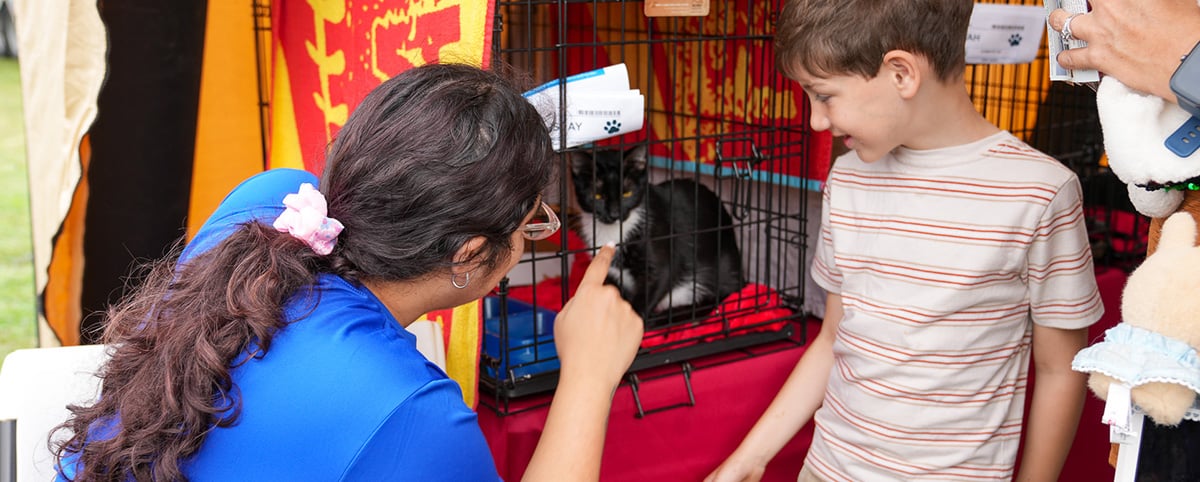 Volunteer and kid looking at adoptable cat Volunteer and kid looking at adoptable cat