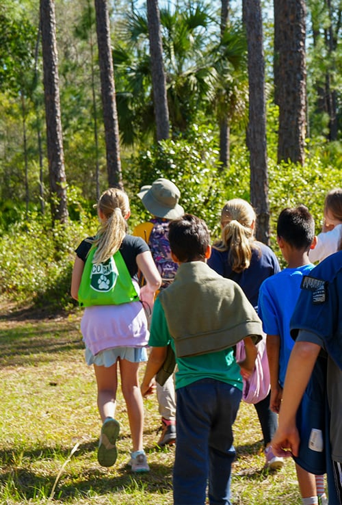kids at eco camp hiking