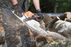 Kinderen aan het snoeien