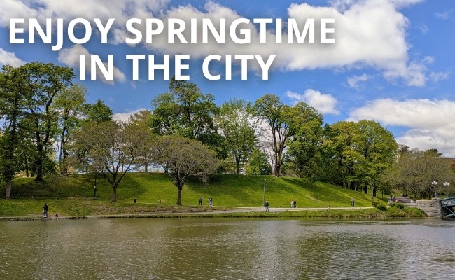 a park lake and nearby path, and the words Enjoy Springtime in the City in the corner a park lake and nearby path, and the words Enjoy Springtime in the City in the corner