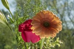 flowers