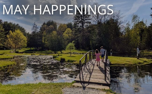 kids walk over bridge in crandall park