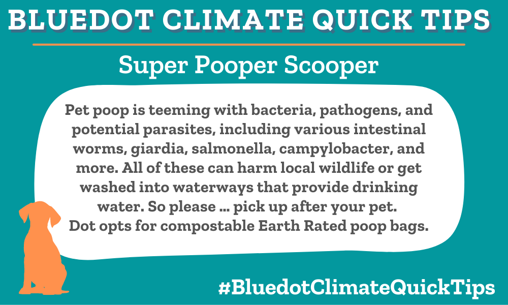 Climate Quick Tips