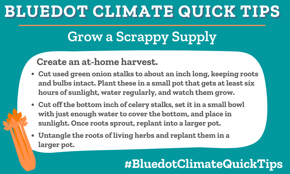Climate Quick Tip