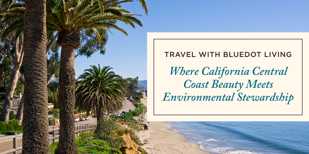 Sea Bags Giveaway Sea Bags Giveaway