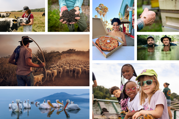 2025 BDL stories 2025 BDL stories