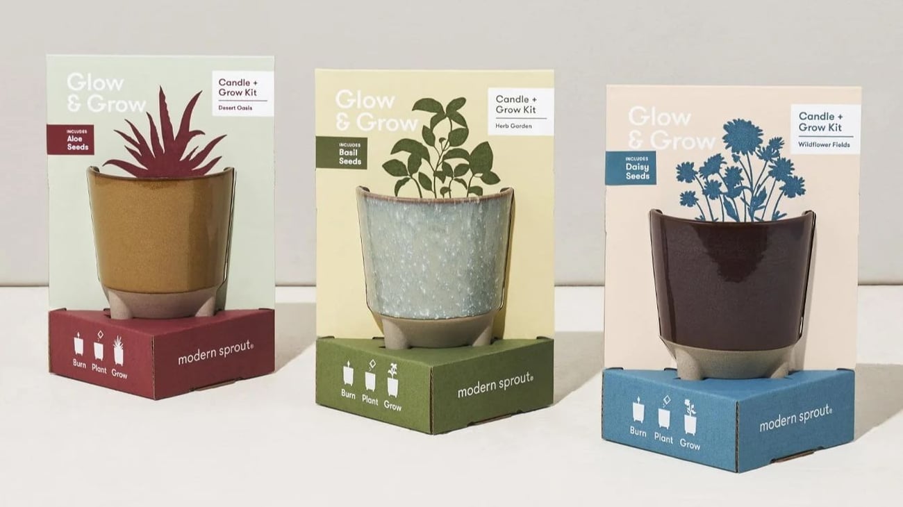 Cozy Picks for a Peaceful Winter Cozy Picks for a Peaceful Winter