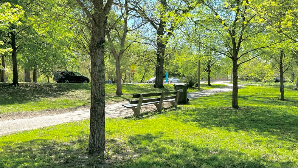 A photo of a bench in a public park in Chicago. A photo of a bench in a public park in Chicago.