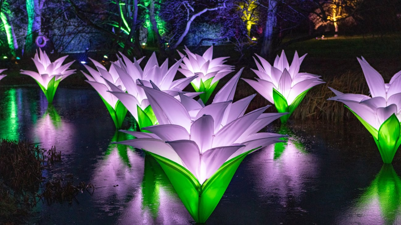 "Lightscape" at the Chicago Botanic Garden. (Andrew Ogilvy Photography)