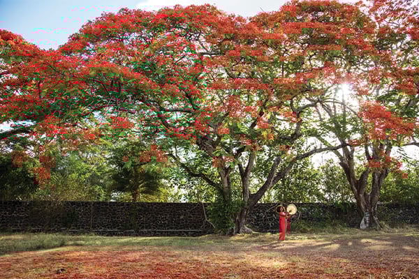 Combiné Rodrigues/Ile Maurice, confort et tranquillité