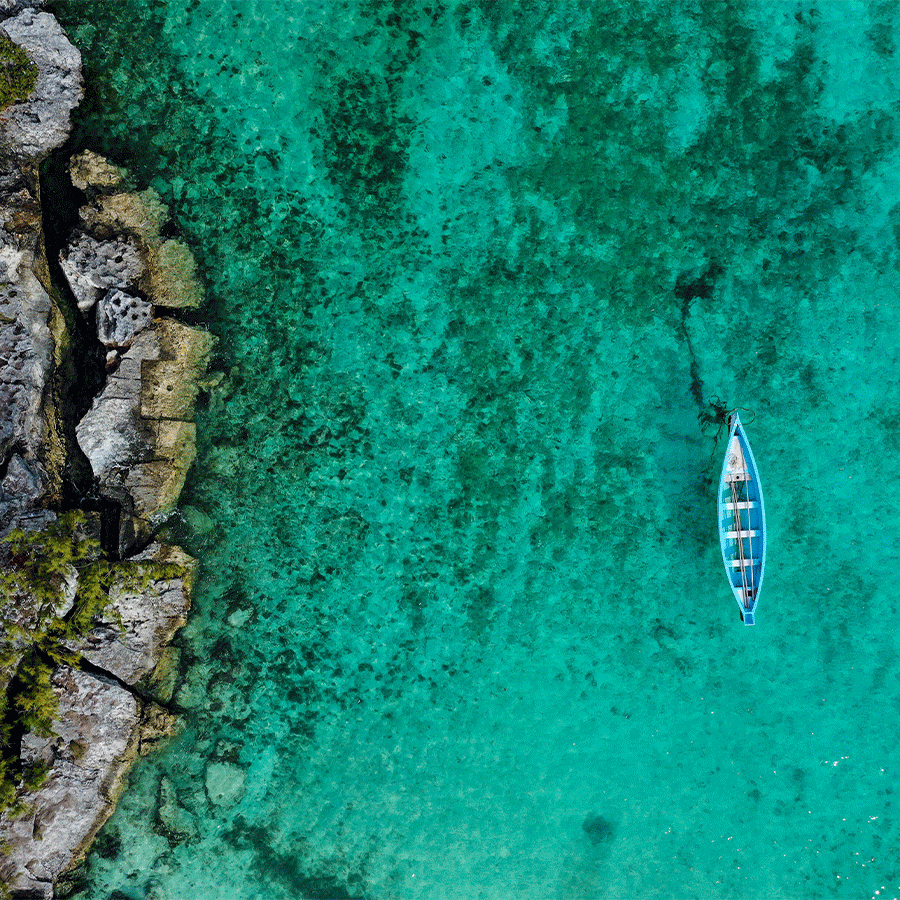 2026 l'année de l'évasion