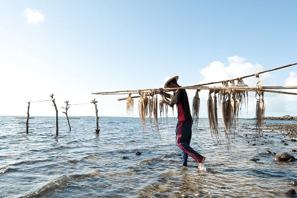 Combiné Rodrigues/Ile Maurice, confort et tranquillité