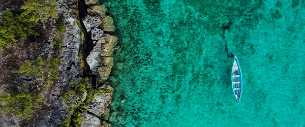 2026 l'année de l'évasion