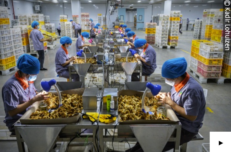 Kijk de documentaire Food for Thought