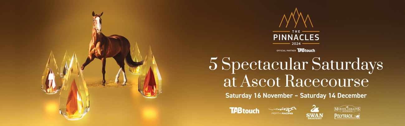 Victoria University Volunteer Survey