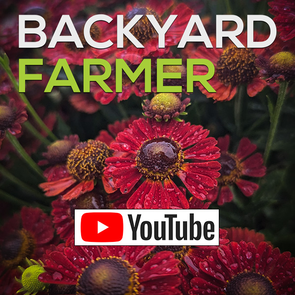 Backyard Farmer Podcast