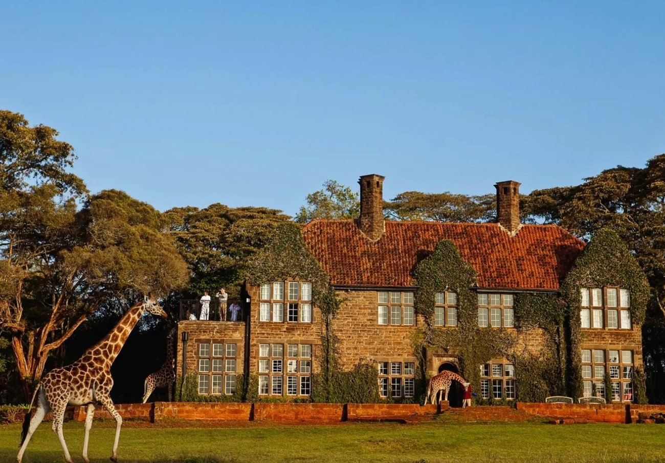 Crie do jeito que você quiser