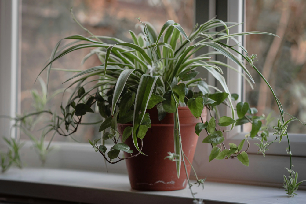 Crie do jeito que você quiser Crie do jeito que você quiser