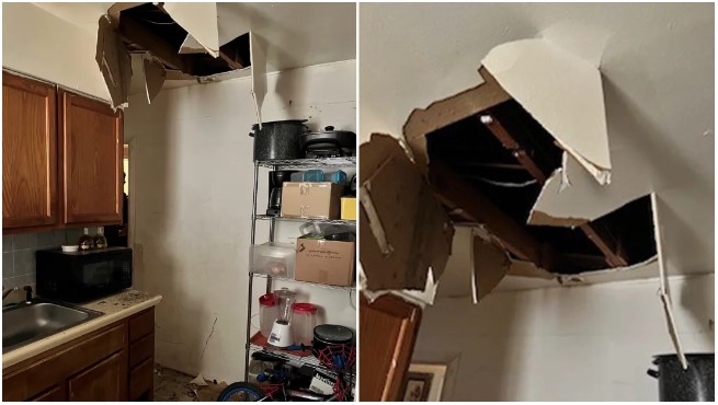 Ceiling Fail: Murder Suspect Literally Drops Into Custody