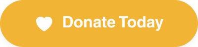 Donate to Vision Today