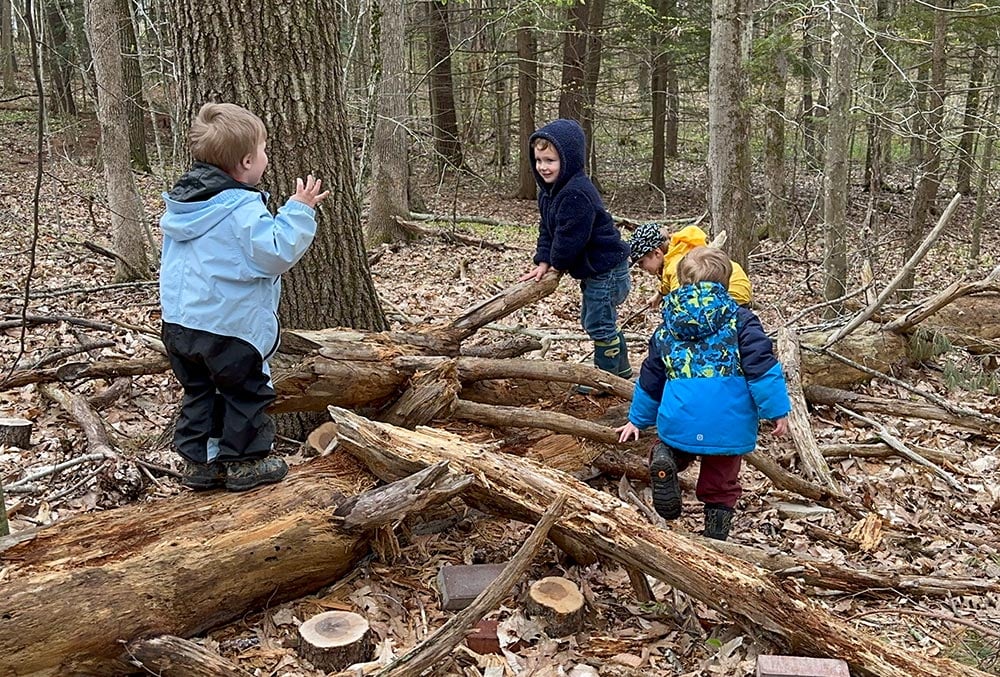 Children Playing in the Woods