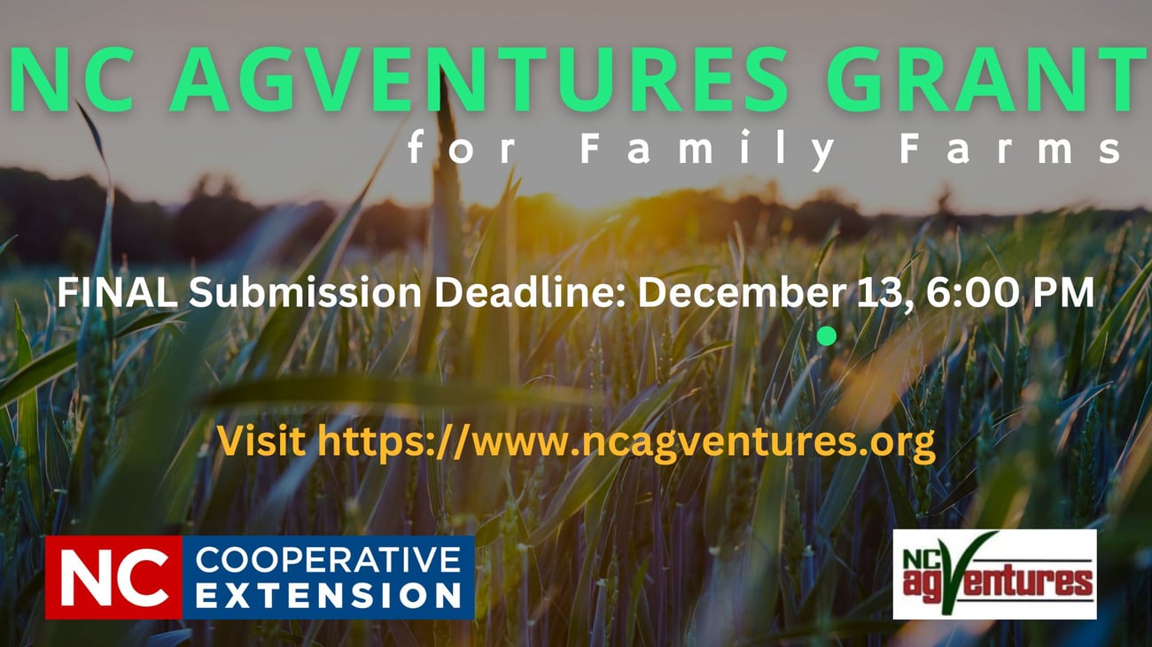 clipart of a black cow and calf 