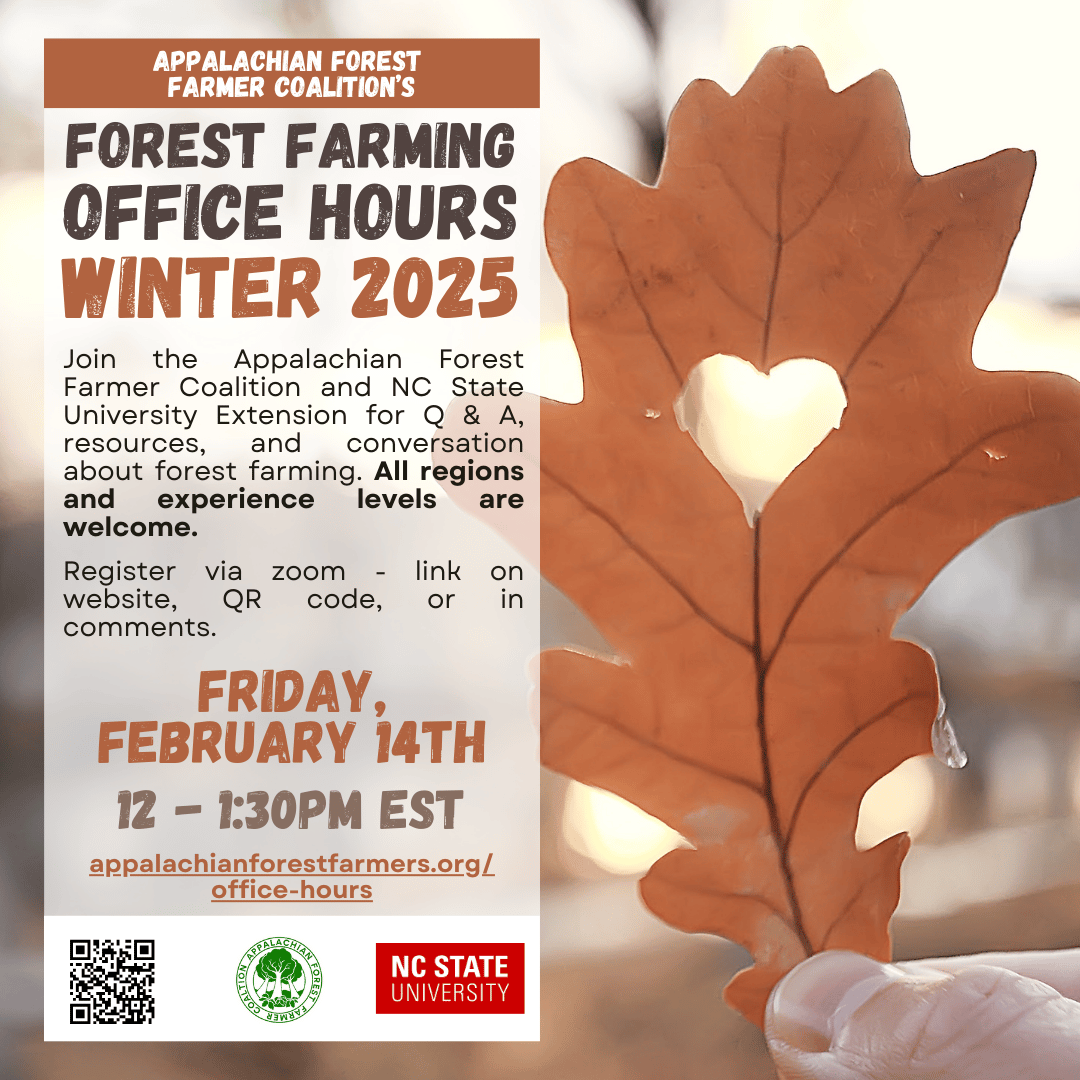 Forest Farming Office Hours Winter 2025, Friday Feb 14th 12:00-1:30 pm EST. Join the Appalachian Forest Farmer Coalition and NC State University Extension for Q&A, resources and conversation.