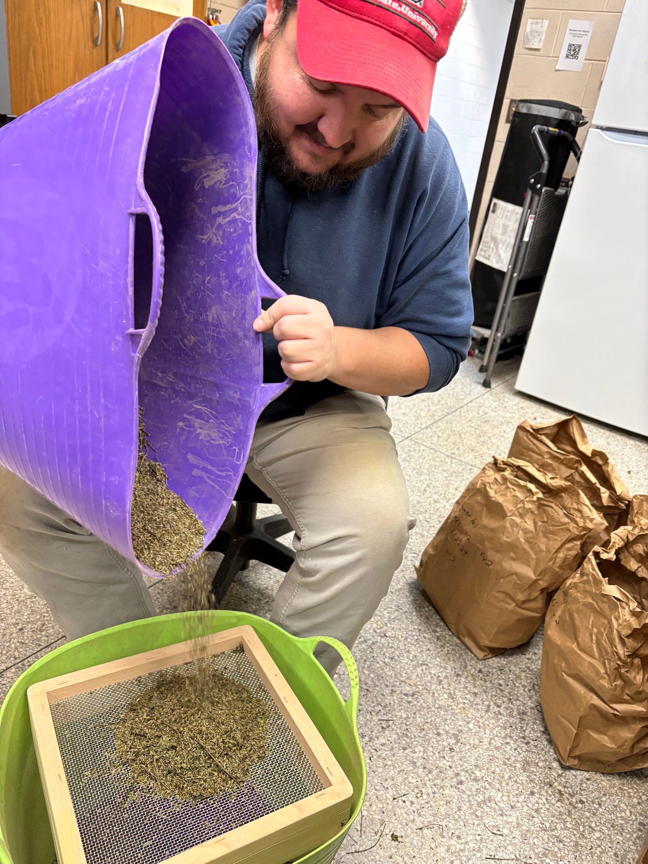 Cleaning seeds is a great winter activity. We harvested this Achyranthes seed from our Chinese medicinal herb plots in 2024. Photo Credit: NC Alternative Crops and Organics Program.