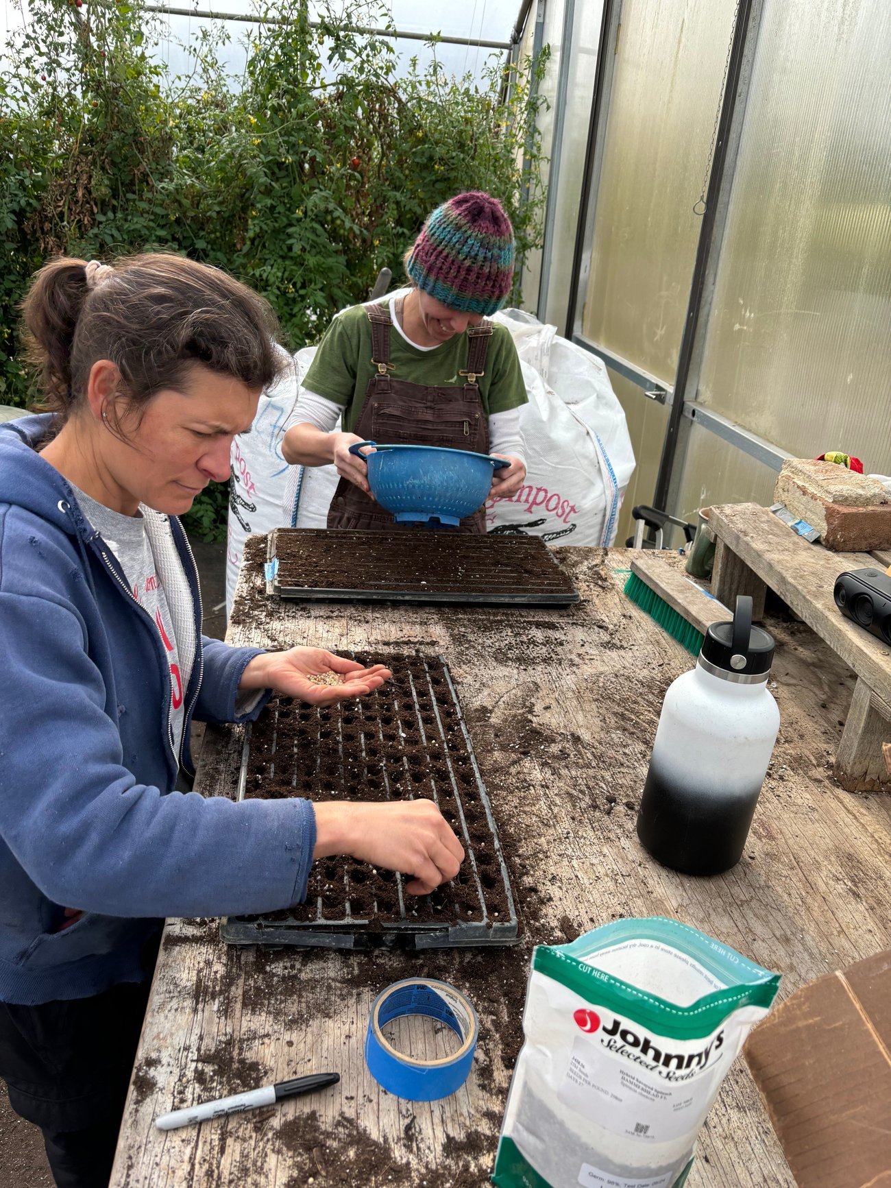 Volunteers seed spinach in the greenhouse on a recent community service day.