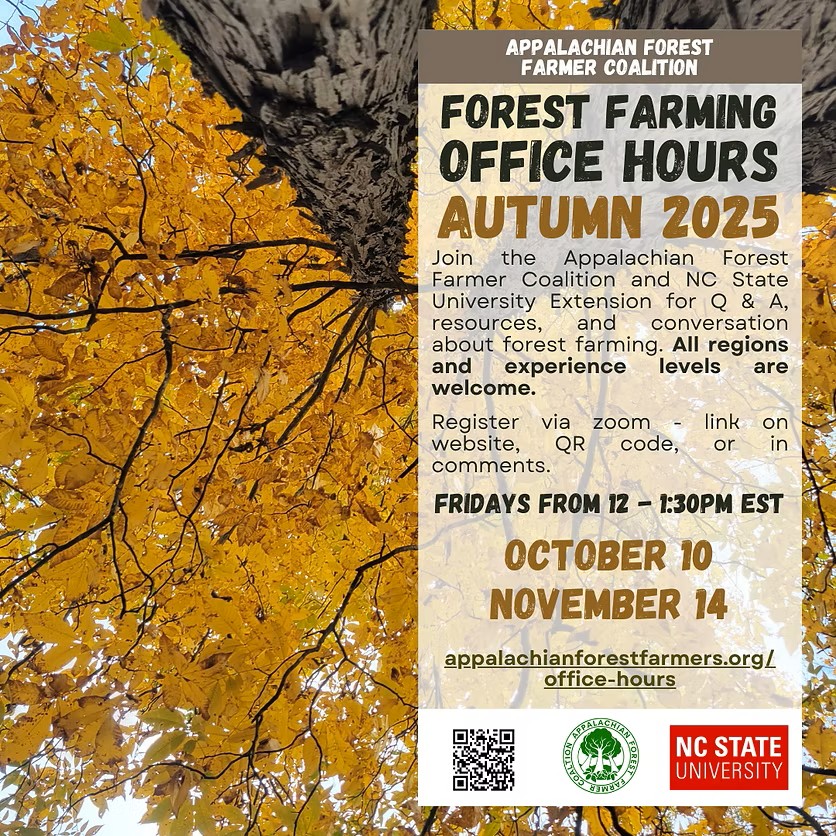 Flyer for Summer Forest Farming Office Hours June 27, Aug 8, and Sep 19. Click to navigate to the registration form 