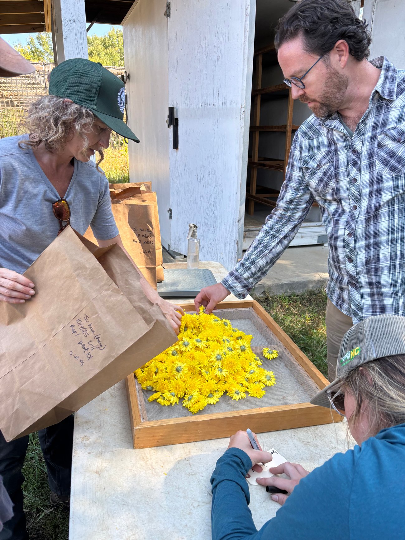 flowers on a drying screen about to be loaded into the dryer