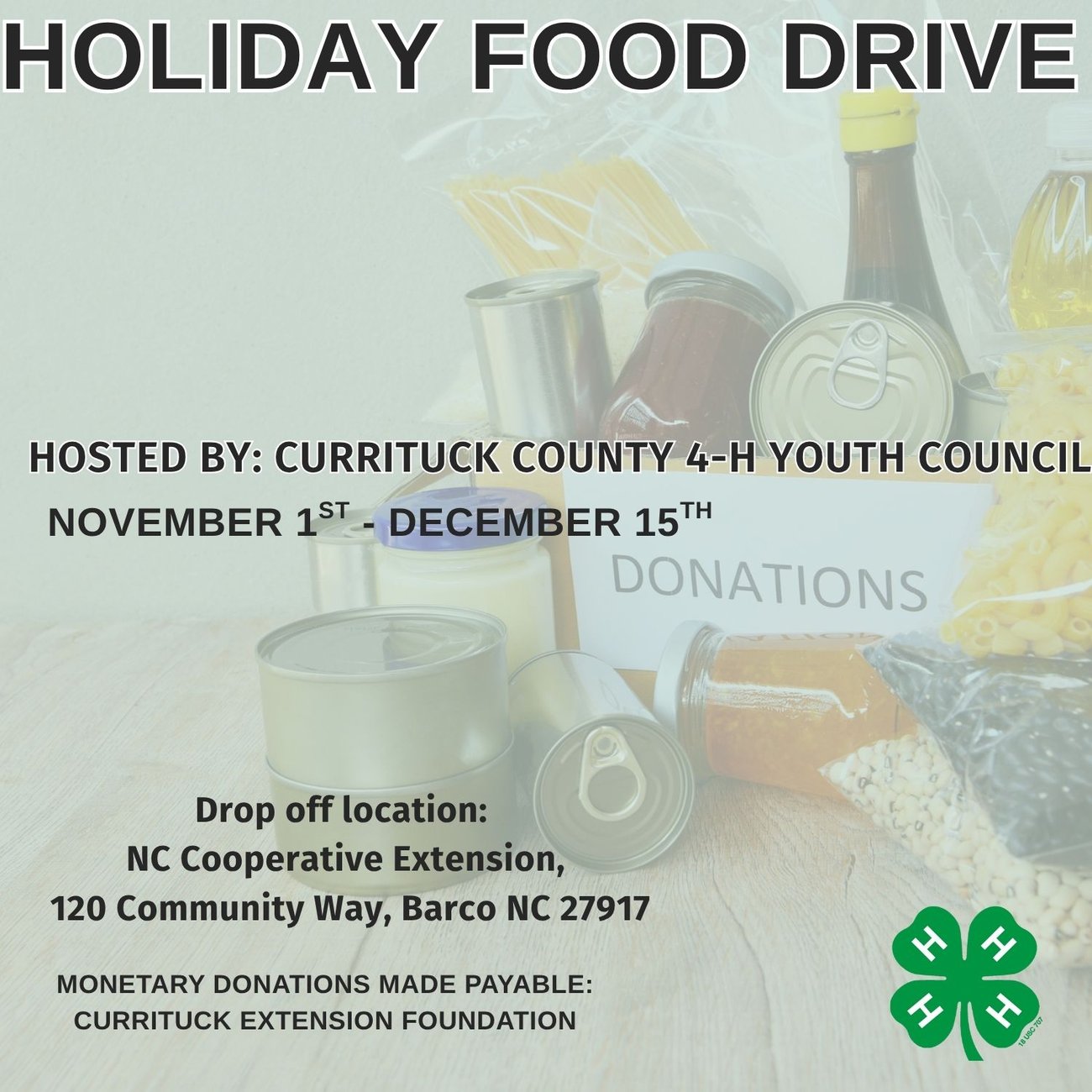 Youth Council Holiday Food Drive
