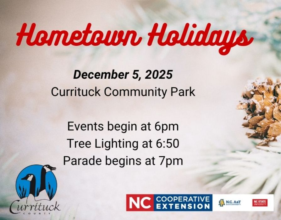 Holiday Parade and Tree Lighting