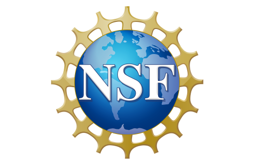 The National Science Foundation logo.