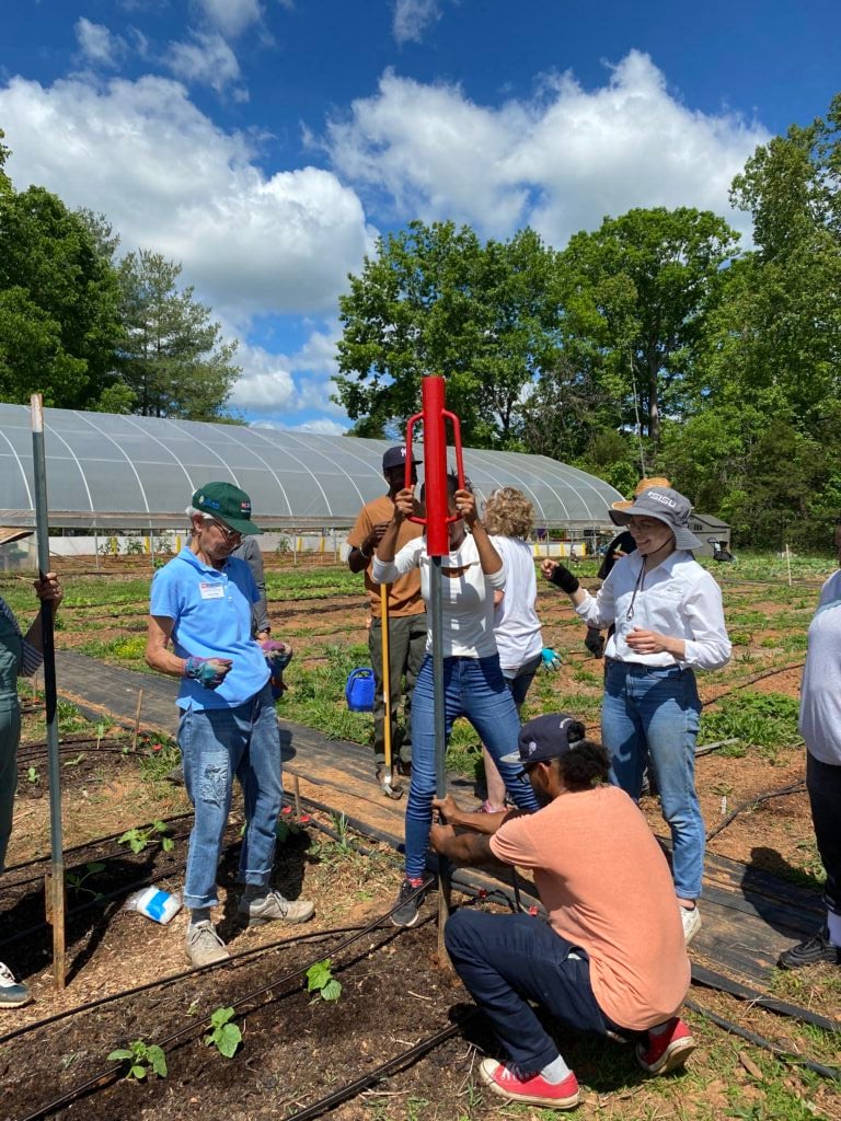 Urban Farm School Students install a trellis for vining cucumbers. Photo by Celine Richard. Urban Farm School Students install a trellis for vining cucumbers. Photo by Celine Richard.