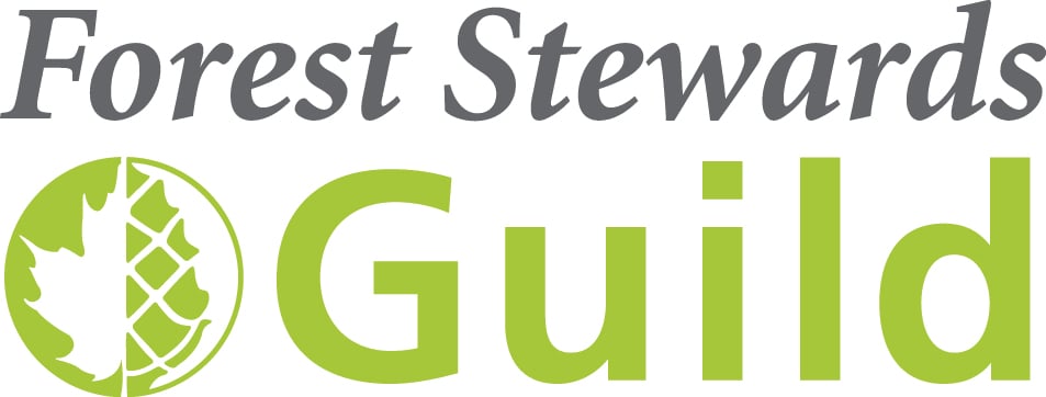 The Forest Stewards Guild logo. The top line features the words "Forest Stewards" in a dark grey, italicized serif font. Below it, the word "Guild" is written in a larger, bold lime-green sans-serif font. To the left of the word "Guild" is a lime-green circular icon depicting a split design: the left half shows the silhouette of a deciduous leaf, and the right half shows the scales of a pine cone.