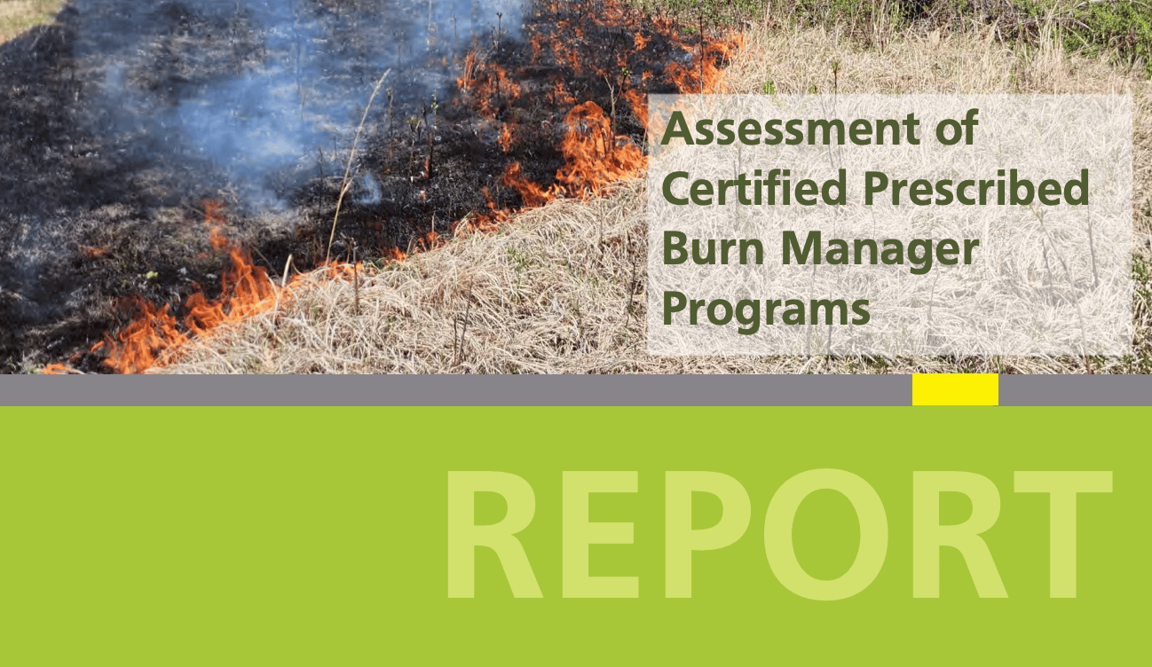 Cover of a report titled "Assessment of Certified Prescribed Burn Manager Programs." The top half of the graphic features a photo of a prescribed fire moving through dry grass, leaving behind charred black ground and thin plumes of smoke. The bottom half is a solid lime-green block with the word "REPORT" printed in large, faint green capital letters.